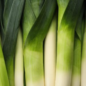 Fused Whole Herb Greek Leek Olive Oil